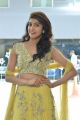 Actress Pranitha Subhash @ Hello Guru Prema Kosame Success Meet Stills