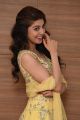 Actress Pranitha Subhash @ Hello Guru Prema Kosame Success Meet Stills