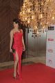 Priyanka Chopra @ Hello Hall Of Fame Awards 2013 Red Carpet Photos