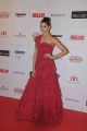 Deepika Padukone @ Hello Hall Of Fame Awards 2013 Red Carpet Photos