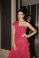 Deepika Padukone @ Hello Hall Of Fame Awards 2013 Red Carpet Photos
