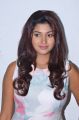 Oviya @ Hello Naan Pei Pesuren Movie Audio Launch Photos