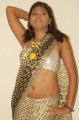 Hema Jelloju Hot Saree Stills