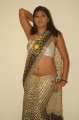 Hema Jelloju Hot Saree Stills