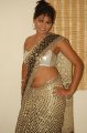 Hema Jelloju Hot Saree Stills