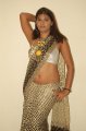 Hema Jelloju Hot Saree Stills