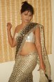 Hema Jelloju Hot Saree Stills