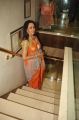 Actress Hema Malini Hot in Saree Latest Photos