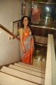 Actress Hema Malini Hot in Saree Latest Photos