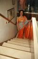 Actress Hema Malini Hot in Saree Latest Photos