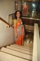 Actress Hema Malini Hot in Saree Latest Photos