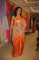 Actress Hema Malini Hot in Saree Latest Photos