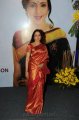 Hema Malini Silk Saree Stills