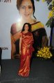 Hema Malini Silk Saree Stills