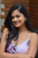 Actress Hemal Ingle Hot Pics @ Hushaaru Movie Interview