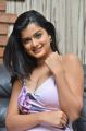 Husharu Movie Actress Hemal Ingle Hot Pics