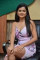 Heroine Hemal Ingle Hot Pics @ Husharu Movie Interview