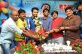 Telugu Hero Ram Birthday Photos