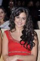 Actress Kriti Kharbanda at Santosham Film Awards 2012 Photos