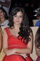 Actress Kriti Kharbanda at Santosham Film Awards 2012 Photos