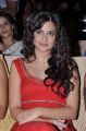 Actress Kriti Kharbanda at Santosham Film Awards 2012 Photos