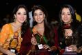 Tamanna Bhatia, Nayantara, Trisha Krishnan at Santosham Film Awards 2012