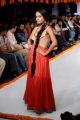 Kingfisher Ultra Hyderabad International Fashion Week 2013 (Day 2)