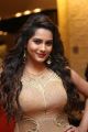 Model Himaja Hot Pics @ SIIMA Short Film Awards 2017