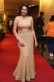 Himaja Hot Pics @ SIIMA Short Film Awards 2017