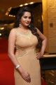 Himaja Hot Pics @ SIIMA Short Film Awards 2017