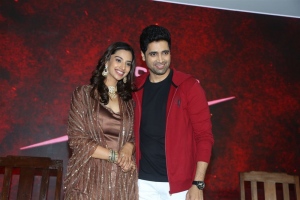 Meenakshi Chaudhary, Adivi Sesh @ Hit 2 Movie Press Meet Bangalore Photos