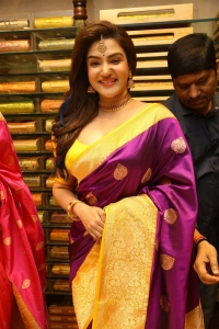 Telugu Actress Honey Rose in Silk Saree Pics