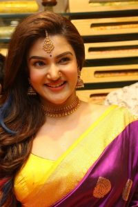 Telugu Actress Honey Rose in Silk Saree Pics