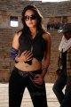 hot_anushka_shetty_new_pics_ragada_8665