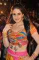 Zarine Khan Hot Stills at Naan Rajavaga Pogiren Shooting Spot