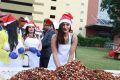 Actress Yashika Anand @ Hotel Green Park Christmas Cake Mixing Ceremony 2018 Pics