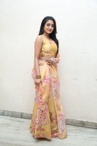 Actress Hrithika Srinivas @ Allantha Doorana Pre Release