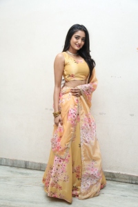 Actress Hrithika Srinivas @ Allantha Doorana Pre Release