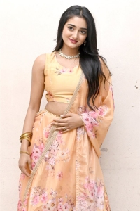 Heroine Hrithika Srinivas Pics @ Allantha Doorana Pre Release