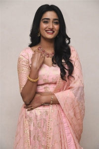 Sound Party Movie Heroine Hrithika Srinivas Photos