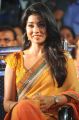 Shriya Saran Dual Color Saree Images @ Pavitra Audio Release