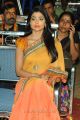 Actress Shriya Saran Saree Images @ Pavitra Audio Release