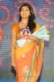 Actress Shriya Saran Saree Images @ Pavithra Movie Audio Release