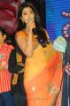 Actress Shriya Saran Saree Images @ Pavitra Movie Audio Release