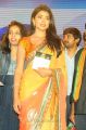 Actress Shriya Saran Saree Images @ Pavitra Audio Release