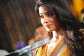 Actress Shriya Saran Saree Images @ Pavitra Audio Release