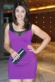 Richa Gangopadhyay @ Hyatt Regency Chennai Calendar Launch Pictures