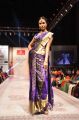 Hyderabad Fashion Week-2013, Season 3 (Day 3) Photos