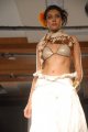 Hyderabad International Fashion Week 2011 (Day 1)