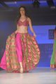 Hyderabad International Fashion Week 2011 (Day 1)